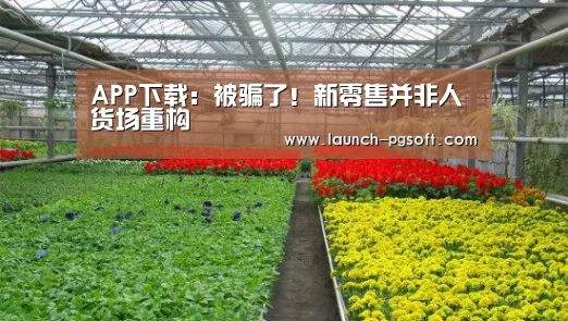 APP下载:被骗了!新零售并非人货场重构(图3) pg电子模拟器app